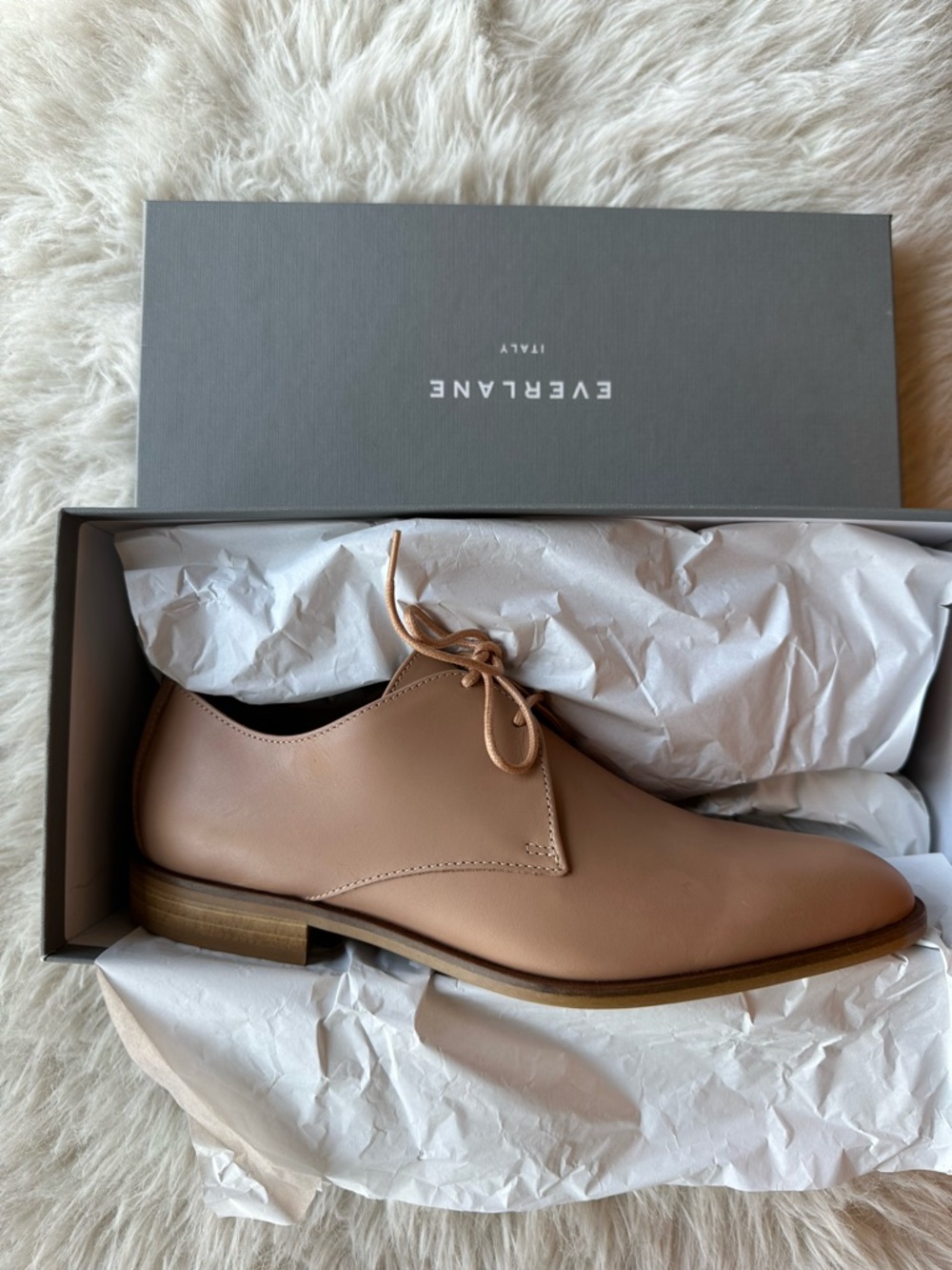 Everlane modern Oxford blush Tan Leather Derby Shoe 8